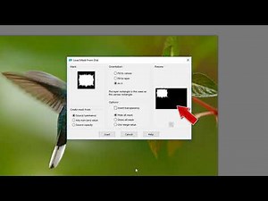 How to Apply Masks in PaintShop Pro