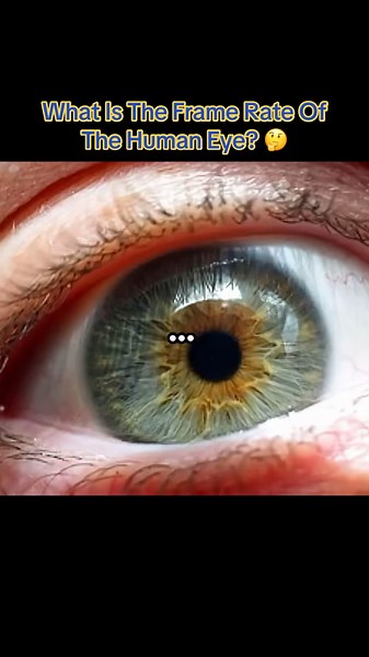 What Is The Frame Rate Of The Human Eye? 🤔 #interesting