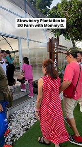24K views · 65 reactions | A tour of Strawberry Farm in SG Farm with Mommy D… #urbanostravel | Urbano's Travel | Facebook