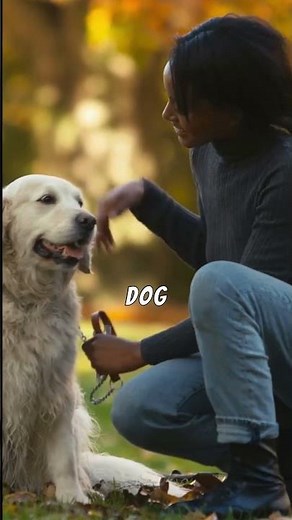 Here’s How You Can REALLY Calculate Your Dog’s Age 🐶📆 #Dogs #Tips #Shorts