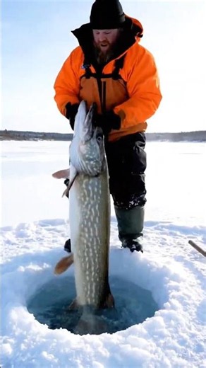Siberian Ice Fishing Secrets Revealed 🧊🐟 | Extreme Winter Fishing Under Frozen Lakes