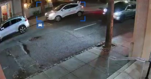 Where’s Willa? Search is still on for Charleston cat allegedly nabbed by food delivery driver.