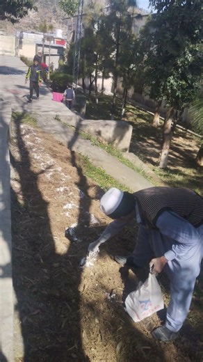 Pits digging|Plantation drive part-4