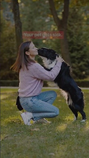 How to Compare All Your Insurance Needs | The Swiftest