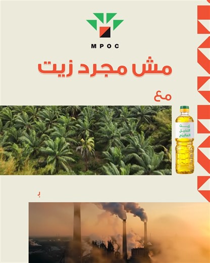 مش كل زيت بيخدم البيئة بنفس الطريقة.. زيت النخيل الماليزي بينتج 35٪ من زيوت العالم باستخدام أقل من 10٪ من الأراضي، وده معناه استهلاك طاقة أقل، مصانع أقل، وتلوث أقل! ابدئي التغيير من مطبخك.. .قرار بسيط، وأثره كبير على البيئة. Not every oil serves the environment the same way. Malaysian palm oil, the world’s most efficient vegetable oil crop, produces 35% of the world’s vegetable oil using less than 10% of the land allocated for oil crops. That means less energy use, fewer processing facilities, a