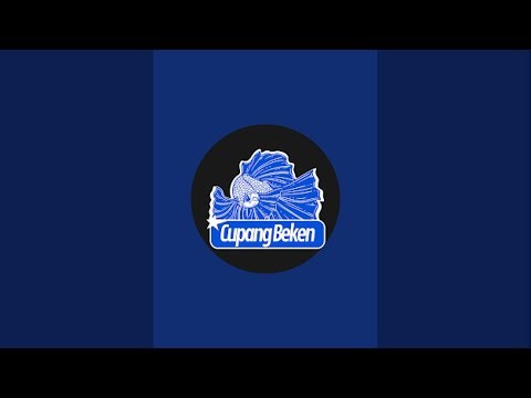 Cupang Beken sedang live sekarang!