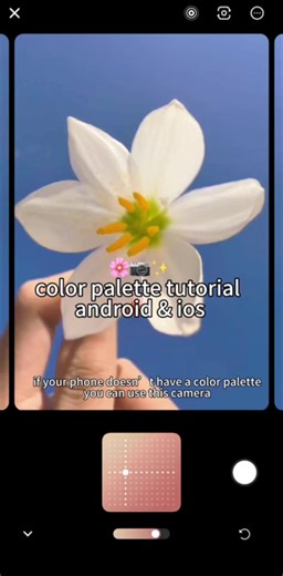 Color Palette Tutorial for Photo Editing