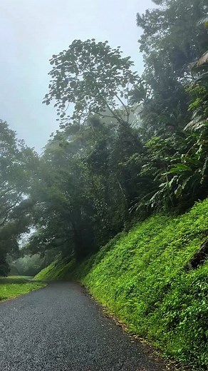 Tobago recap from when @unlockwildlife visited! It was short but sweet! Full video’s up on YouTube (link in bio) #wildlife #caribbean #tobago #trinidadandtobago🇹🇹 #islandvibes #wildlifeconservation | Kyma Ali