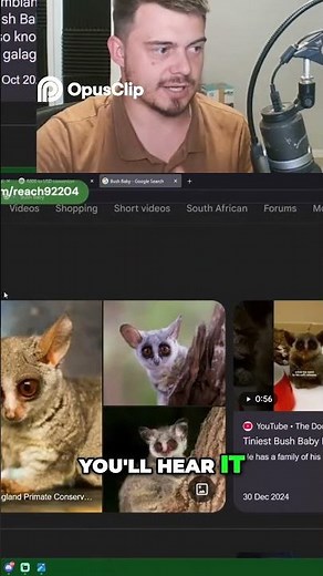 Bush Baby Sounds Like a Crying Baby in the Forest!