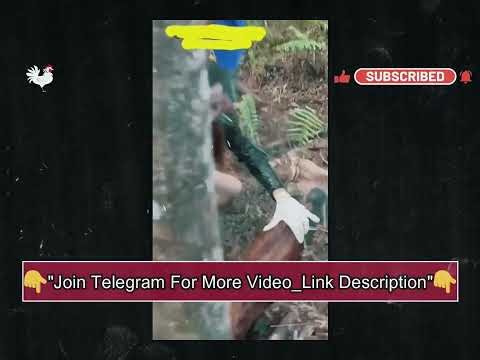 How to do slaughter a Goat || Teaching Vlog 17
