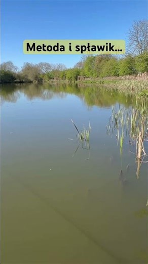 Method and float… #angling #fishing #feeder