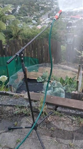 Microphone stand auditions have ended We have a winner! 🤪🙌💎🤟 | HiViz Jamz