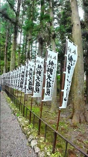 熊野三山参拝、熊野本宮大社は158段の石段を上がった先に檜皮葺の立派な社殿があります。国の重要文化財に指定されています#熊野三山#熊野本宮大社