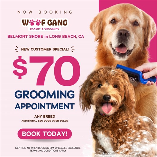 🐶 $70 grooming at Woof Gang Belmont Shore means a clean, healthy, and happy pet! Enjoy luxury care for nails, ears, and coat. Book now! 🛁 | WOOF GANG BAKERY