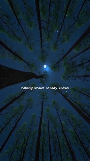 Aurora Runaway Lyrics || And I Was Running Far Away Lyrics ||