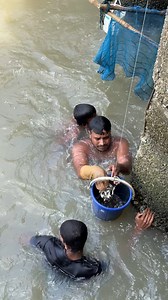 32K views · 124 reactions | Unbelievable Hand Fishing in Under Water | Fishing & Village Tradition | Facebook