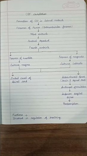 cerebrospinal fluid anatomy #CSF Circulation #bsc nursing