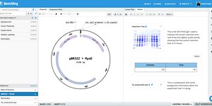 Benchling wants to become the Salesforce of biotech