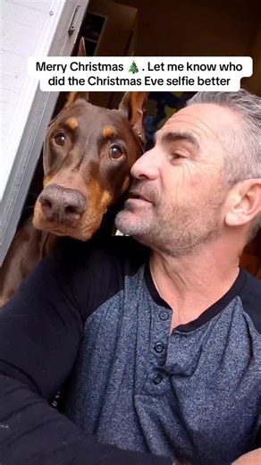 Charles Lindsey, Ruby Dooby Do & Bruce too on Instagram: "Merry Christmas 🎄. Let me know who did the Christmas Eve selfie better #bruceofrubydoobydo #brucethedoberman #doberman #dobermann #rubydooby_do dogsofinstagram showdogs"