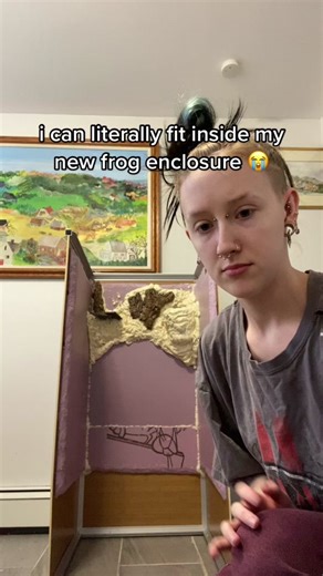 #bioactive #bioactiveenclosure #bioactiveterrarium #bioactivevivarium #bioactiveviv #bioactivesetup #bioactivereptile #bioactivetank #bioactivereptilesetup #bioactivereptileenclosure #customenclosure #reptileenclosure #diyreptileenclosure #enclosuredecor