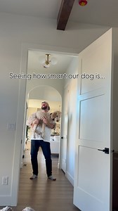 Not very smart but HE CUTE 🐶 🥰 #doodle #goldendoodlesofinstagram #goldendoodle #funny #funnydogvideos | Style Fit Fatty