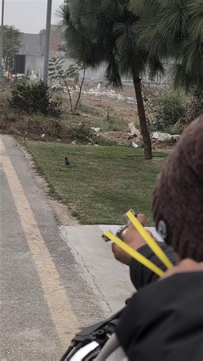 Hunting master tips with slingshot #ytshorts #shorts #youtubeshorts #trending #tips