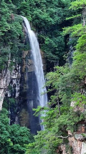 The waterfalls in Zhangjiajie are the wildest carnival in the world #waterfall #travel #nature