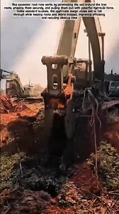 Powerful Excavator Root Rake Removes Massive Tree Stumps | #shorts