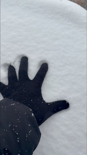 4.6K views · 94 reactions | First Snow in Canada  From green to white — nature never fails to amaze!  #FirstSnow #SnowInMyGarden #WinterVibes #NatureMagic #SnowDay #GardenBeauty #FrozenMoments #WinterWonderland #SnowReels #PeacefulNature #ViralReels | Canada's Gardening | Facebook
