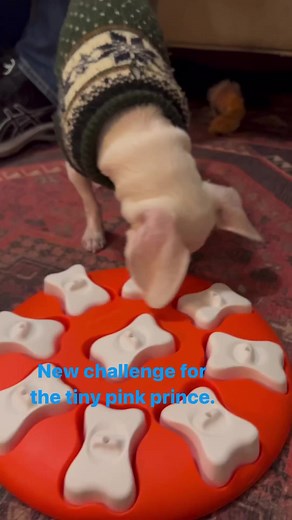 26K views · 4.3K reactions | What's there to say? Of course the pink...