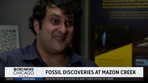 Field Museum shares fossil discoveries from Mazon Creek in Illinois