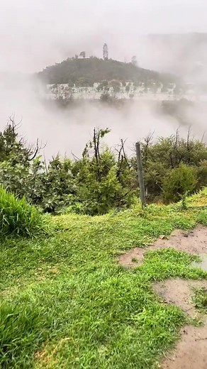 The Bride of the Fog 😶‍🌫️ Al Baha ❄️🌳 Saudi Arabia 📍🇸🇦 | Life in Saudi Arabia