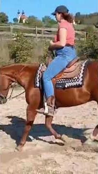 western riding lessons🤠