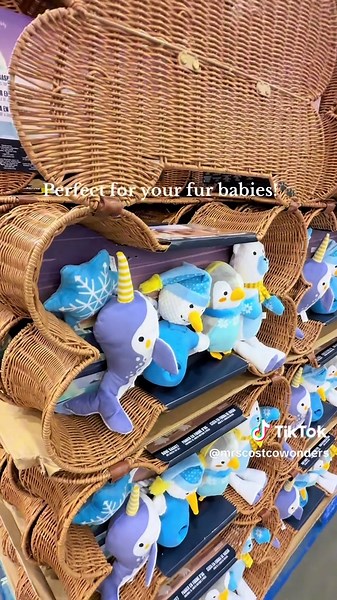 Costco's Adorable Gift Basket for Dogs