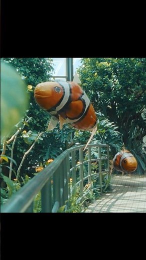 #矢野顕子 「海男と瑠璃亜 feat. #細野晴臣」 ミュージックビデオを公開しました🐠 #細野晴臣 #haruomihosono #八景島シーパラダイス #newsong #水族館
