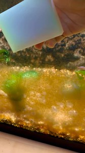 188K views · 937 reactions | Easy Algae Scrubber | Aquarium Co-Op | Facebook