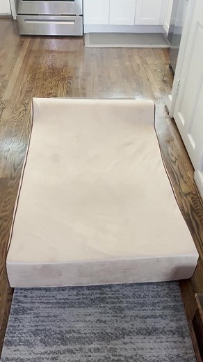 #bigdogbeds #bigdogbed #dogbedsforbigdogs #dogbeds #dogbedsontiktokshop #germansheepherd #germanshepherds #germanshepherdsoftiktok