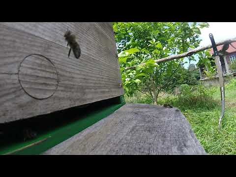 🔵 Through - Prepositions Explained - Through Meaning - Through Examples