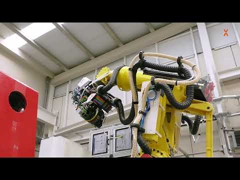 Robotic platform with multifunctional End Effector (extended)