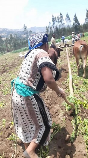 Oromiyaa: Culture and Heritage of the Oromo People