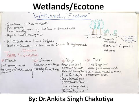 Wetlands, types and their characteristics