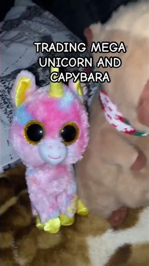 TRADING MEGA UNICORN AND CAPYBARA #adoptme #roblox #meme #idk #edit #viral