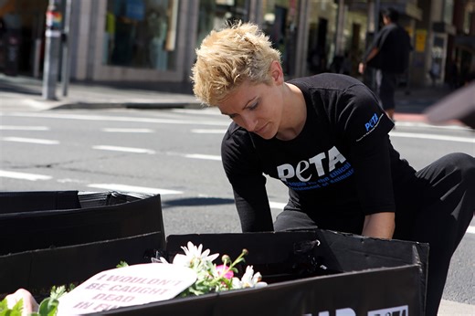 Industry report reveals new layers to animal-rights movement