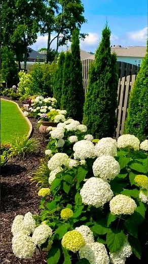 10 Amazing Flower Bed Designs
