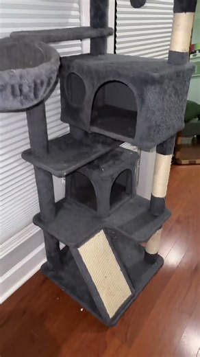 My cat practically live in this cat tree ##catsoftiktok##cattree##cattoys##cathouse##happycat