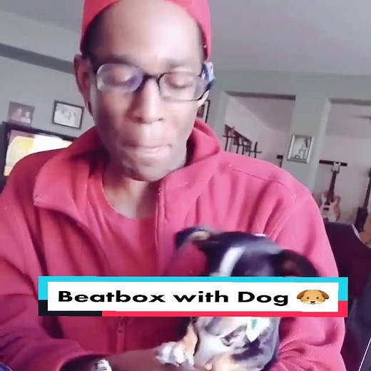 Fun Beatbox Collaboration with a Chihuahua Dog
