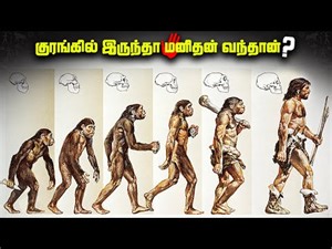 குரங்கில் இருந்தா மனிதன் வந்தான் - Human Evolution