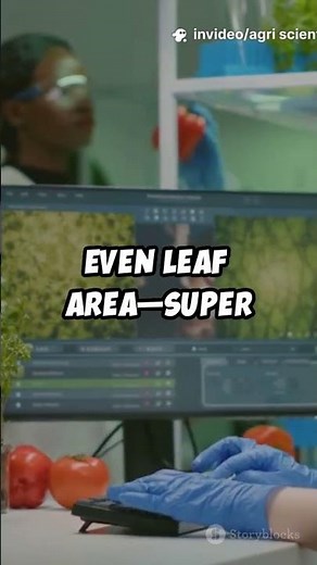 3D Point Cloud Breakthrough: Stem & Leaf Segmentation of Tomato Seedlings