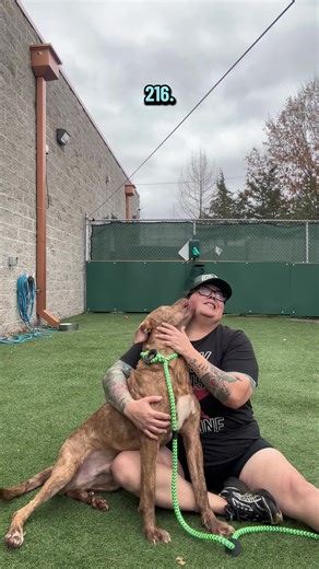 Buckingham the Dog Finds a Forever Home!