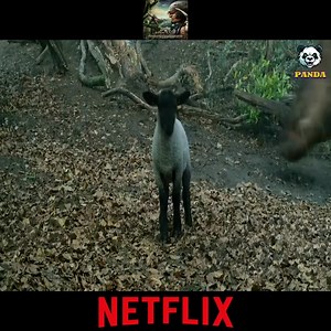 42K views · 239 reactions | Good Netflix Movies Today #Pandora #JamesCameron #Navi #Avatar2 #CinemaMagic #SciFiAdventure #FilmMagic #BlueWorld #BeyondTheHorizon #solo | 퐂퐢퐧퐞퐖퐨퐫퐥퐝 퐇퐮퐛 | Facebook